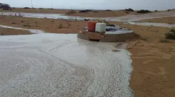 سحب وأمطار تجتاح شمال البلاد.. ورياح مثيرة للأتربة على هذه المناطق